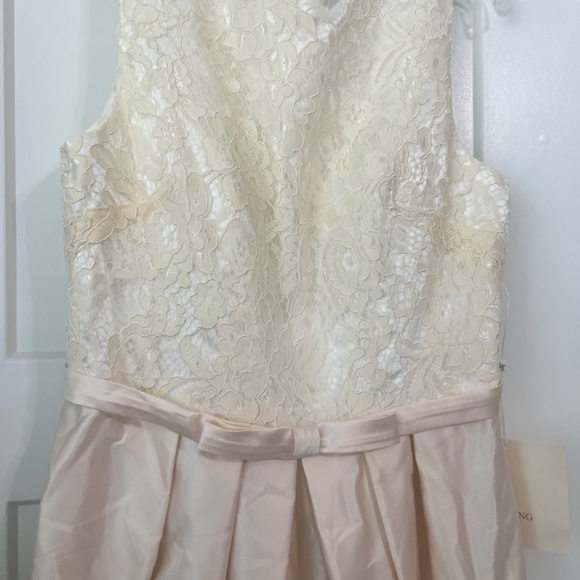 Mother of the Groom Dress A-Line Empire Elegant Wedding Guest Form Evening Dress - Picture 3 of 9